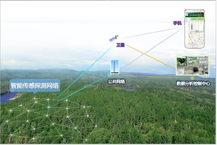 物聯(lián)網(wǎng) 技術(shù)研發(fā)與行業(yè)應(yīng)用的雙輪驅(qū)動