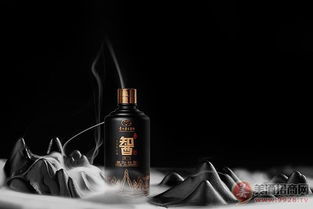 臺源智酒原一火熱招商中