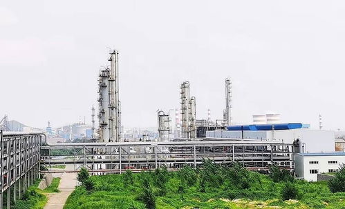 河北唐山一酒精化工廠發(fā)生爆炸,村民 玻璃震碎房頂塌了