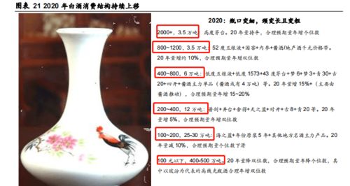 何以解憂 白酒消費(fèi)邀您一醉